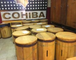 In der Cohiba-Fabrik wird Tabak auch in Fässern gelagert. Jahrhunderte an Erfahrung stecken in dieser Form der Lagerung.