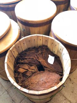 Und so werden die Blätter in den Fässern übereinander geschichtet und sorgfältig beschriftet.