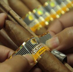 Der aktuelle Cohiba-Zigarrenring (Stand per 2025): Perfekt in Gold, Gelb, Schwarz und Weiß, ein Anblick, der die Herzen von Zigarrenliebhabern höher schlagen lässt.