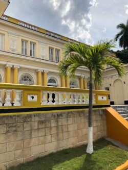 Der berühmte Cohiba-Kopf schmückt heute das Terrassengeländer, prägnant der schwarze Kopf in Kombination mit den Farben gelb und weiß.