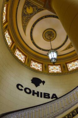 Auf dieser Treppe wurden schon Heiratsanträge gemacht und kein Besucher versäumt es, sich auf dieser fotografieren zu lassen.