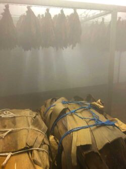 In diesem Raum der Cohiba-Fabrik „El Laguito“ werden die Tabakblätter befeuchtet. Dies muss möglichst gleichmäßig erfolgen, die Blätter dürfen nicht zu trocken und nicht zu feucht sein.