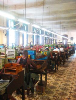 Die H.Upmann-Fabrik ist aber auch die Casa Matriz, das Mutterhaus, der Marke Montecristo.