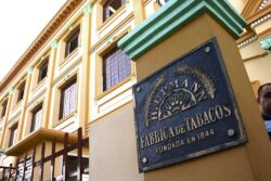 Beim Einzug 2003 war die Fabrik frisch renoviert. Nur wenige Jahre später wurde ein Schaden im Dach festgestellt, der wohl bis heute nicht zu reparieren ist. Das Gebäude steht nach wie vor leer.