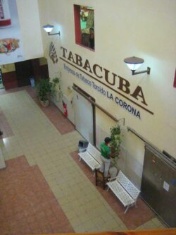 Die Fabriken haben heutzutage zwei Namen: den Namen der Marke, in diesem Fall La Corona. Als zweiten Namen tragen die Manufakturen meist den eines Revolutionärs oder Volkshelden.