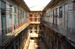 Der Patio des Hauses, leider erinnerte nichts mehr an die Nutzung des Hauses als Fabrik. In der obersten Etage lebten Don Pepins Hunde, ein Männchen und ein Weibchen, Romeo und Julieta.