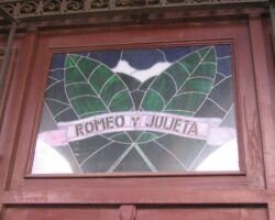 Das Glasfenster über dem Eingang zum Geschäft. Diese Casa del Tabaco befindet sich rechts neben dem Fabrikeingang.