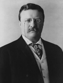 Theodor “Teddy” Roosevelt, président américain, aimait lui aussi les cigares de la marque Por Larrañaga.