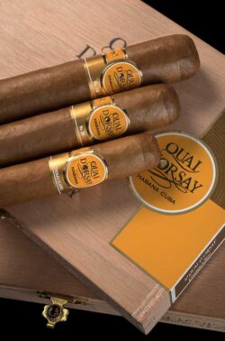 Beim Relaunch der Marke Quai-d'Orsay wurde nicht nur das Design verändert, die Marke präsentiert nun größtenteils neue Formate, die dem Geschmack der Aficionados entsprechen.