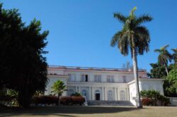 The Trinidad story begins in the famous El Laguito factory.
