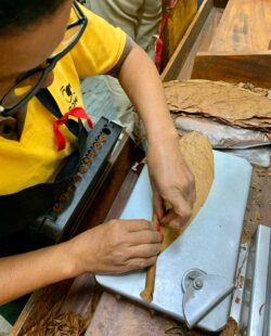 The Cohiba manufactory El Laguito specialises in the production of long, slim formats, then as now, including the first Trinidad cigar, which has been produced since 1969.