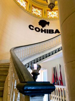 A curse and/or a blessing? The Trinidad still stands in the shadow of its „big sister“ today, but is also known worldwide and delights its lovers.