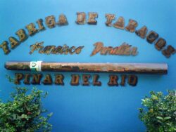 The official name of the Trinidad factory is „Fabrica de Tabacos Francisco Donatien“. This is also where the Vegueros brand cigars are made.