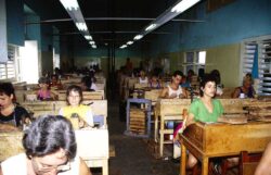 The Galera in the Trinidad factory in Pinar del Rio.