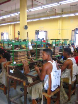 La galera en la fábrica Partagás en la calle San Carlos número 816, donde también se elaboran los puros de la marca Bolívar.