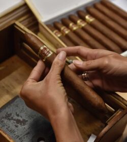 Dans la forme Doppelfigurado, les deux extrémités du cigare sont effilées.