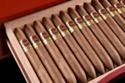 Pour le 20e anniversaire de la marque Cuaba, il y a eu un cigare spécial, un Joffres Grande en termes de format, avec un calibre annulaire de 56 et une longueur de 170 mm.