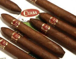 La marque Cuaba est synonyme de double figurados. Tous les cigares du portefeuille sont des double figurados. Seule exception : une Edición Limitada de 2008.