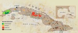 Die Anbaugebiete auf der Insel Kuba: Grün ist Pinar del Rio (Vuelta Abajo), Rot ist die Region Remedios, woher die Marke José L. Piedra stammt, Braun die Vuelta Arriba ganz im Osten der Insel.