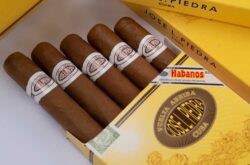 Die Zigarren der Marke José L. Piedra erfreuten sich immer großer Beliebtheit. Schon der Firmengründer setzte auf preiswerte Zigarren in gängigen Formaten. Die Tabake stammen aus der Region Remedios.