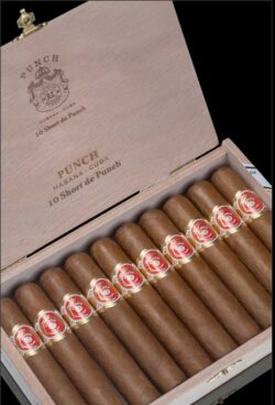 Die Marke Punch gehört zu den ältesten auch heute noch gefertigten Habanos-Marken. Seit 1840 werden Zigarren dieser Marke hergestellt.