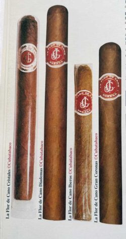 The brand La Flor de Cano's portfolio once comprised both handmade and machine-made cigars. (Source: Min Ron Nee: “AN ILLUSTRATED ENCYCLOPAEDIA OF POST-REVOLUTION HAVANA CIGARS”, Hong Kong 2003, ISBN: 978-3980930826)