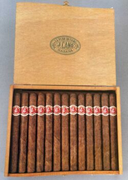The La Flor de Cano brand has a particular reputation in Great Britain: during the Second World War, the military procured large quantities of these cigars. This reputation has endured. (Source: Min Ron Nee: “AN ILLUSTRATED ENCYCLOPAEDIA OF POST-REVOLUTION HAVANA CIGARS”, Hong Kong 2003, ISBN: 978-3980930826)