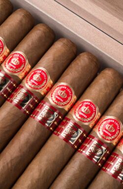 Die Juan López Selección Especial wird weltweit ausschließlich in den „La Casa del Habano“ verkauft.