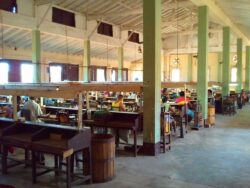 Manufakturen der Marke Juan López 4/ 4: Die Galera der Manufaktur, in der neben den Juan López Zigarren auch die Fonseca und die Sancho Panza hergestellt werden, heißt offiziell „La Habana“, weil die Provinz Artemisa früher Habana hieß und das gesamte Gebiet um die Stadt Havanna herum einschloss.
