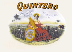 A lady draped in red cloth, with an extensive tobacco field in the background: the vitola of the Quintero brand.